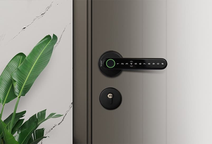 Leverline Smart Fingerprint Door Handle
