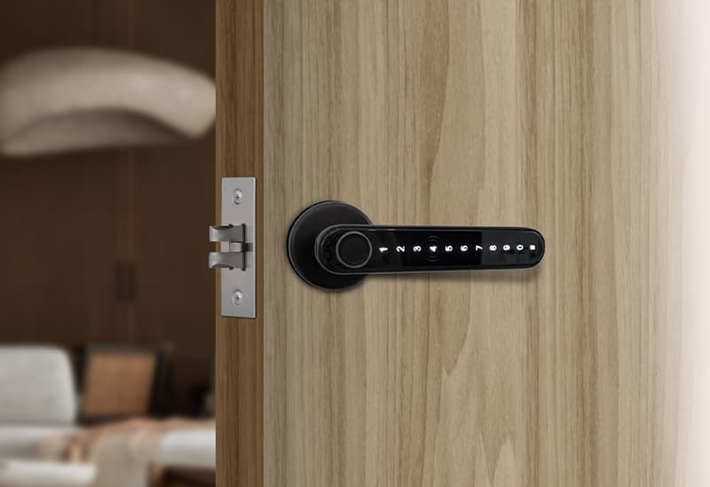 Leverline Smart Fingerprint Door Handle