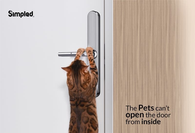 Double-Sided Smart Lock